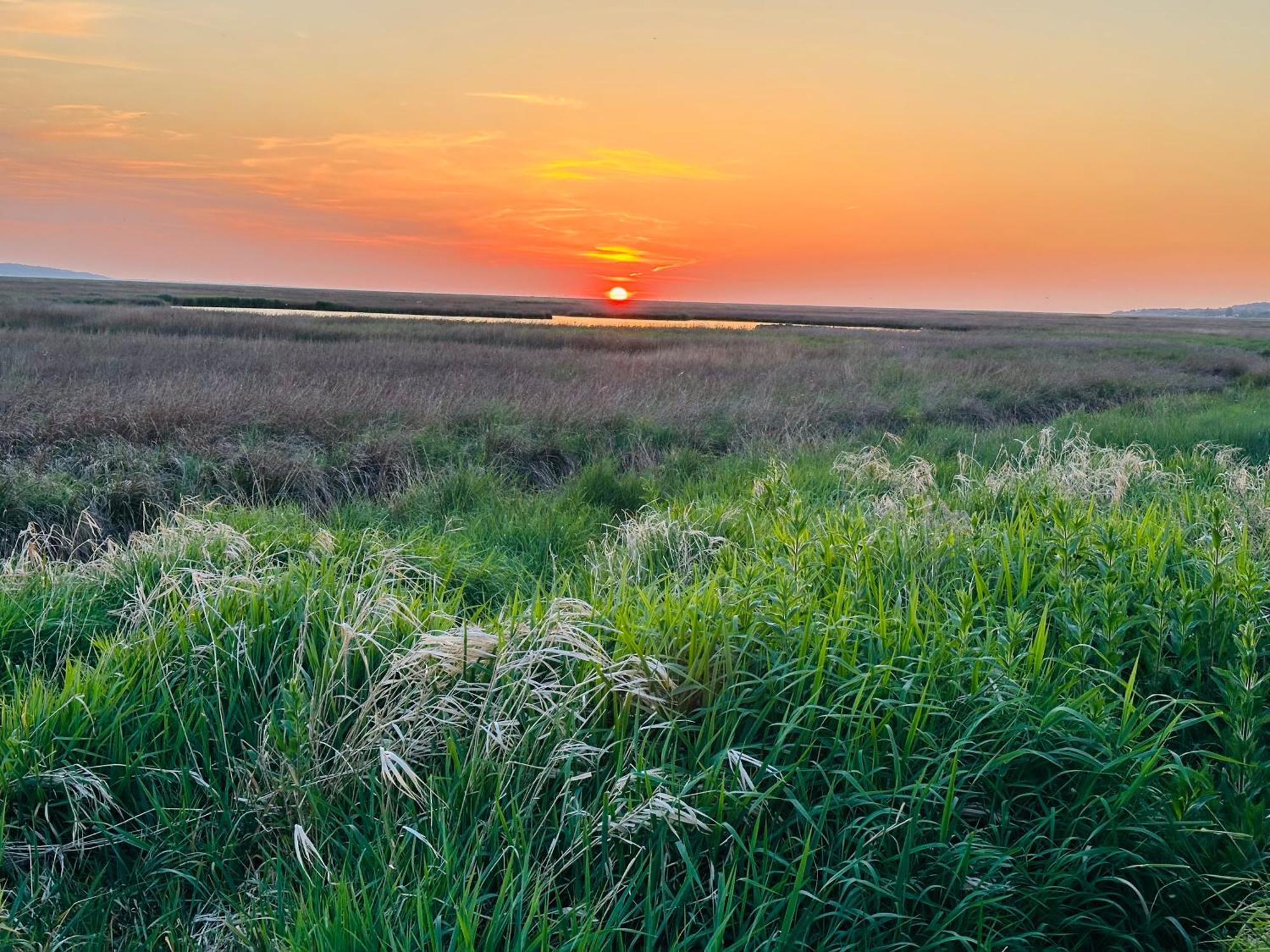 The Rambler'S Rest Cottage, Parkgate, Wirral 파크게이트 외부 사진